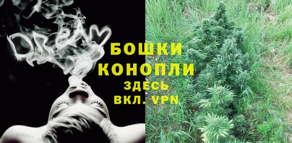 ПСИЛОЦИБИНОВЫЕ ГРИБЫ Балабаново