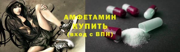 прущие грибы Баксан