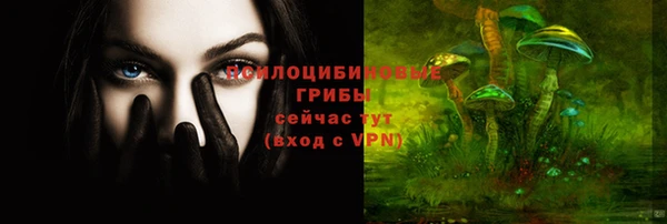 Альфа ПВП Беломорск