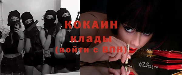 прущие грибы Баксан