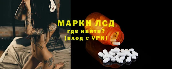 прущие грибы Баксан