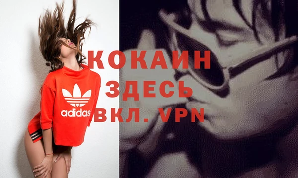 прущие грибы Баксан