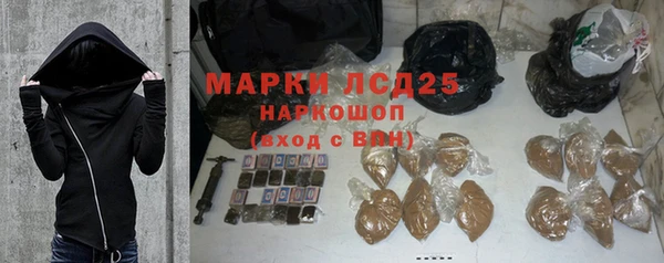 прущие грибы Баксан
