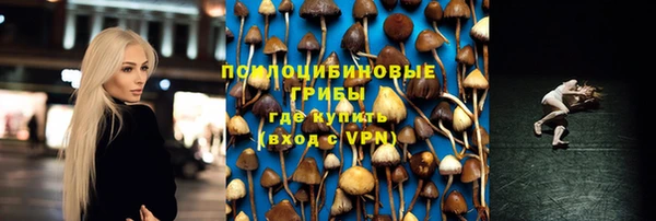 прущие грибы Баксан