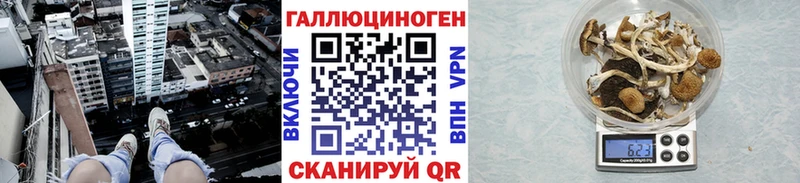 наркота  Ясногорск  Галлюциногенные грибы Psilocybine cubensis 
